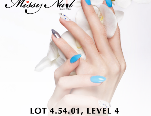 New In : Missy Nail
